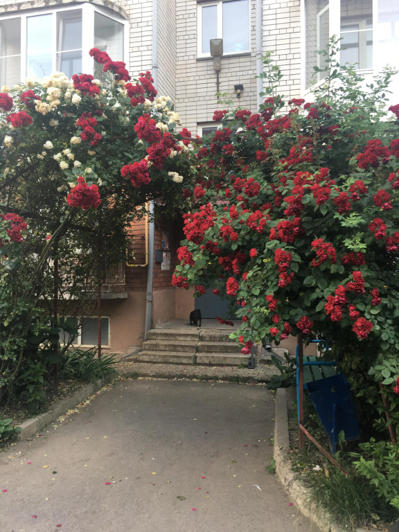 Апартаменты Ейск