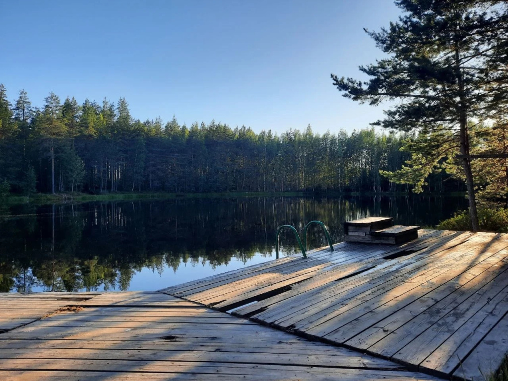 Частный дом у леса 2