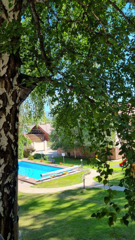Меблированные комнаты Каменный Цветок