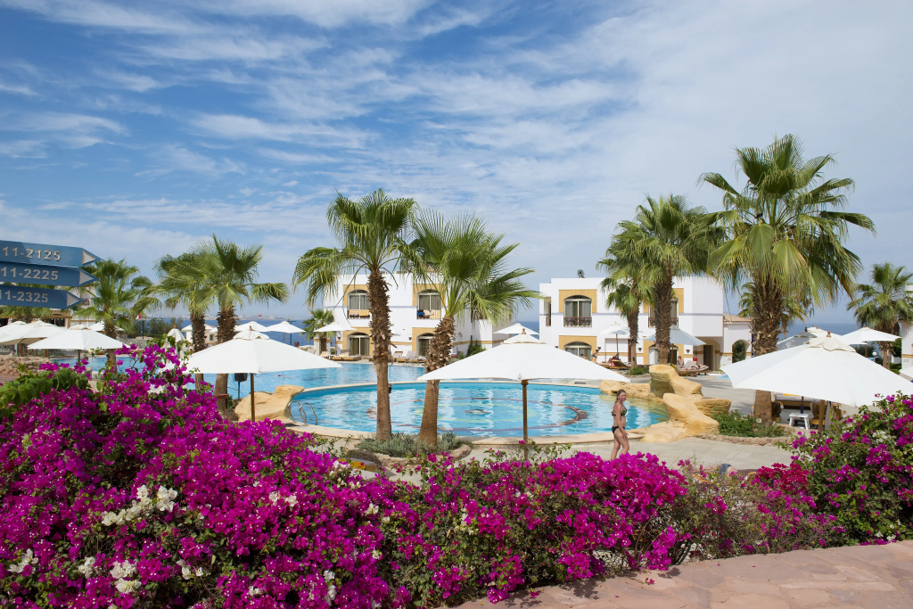 Amphoras Blu Ultra-All Inclusive Adults Only