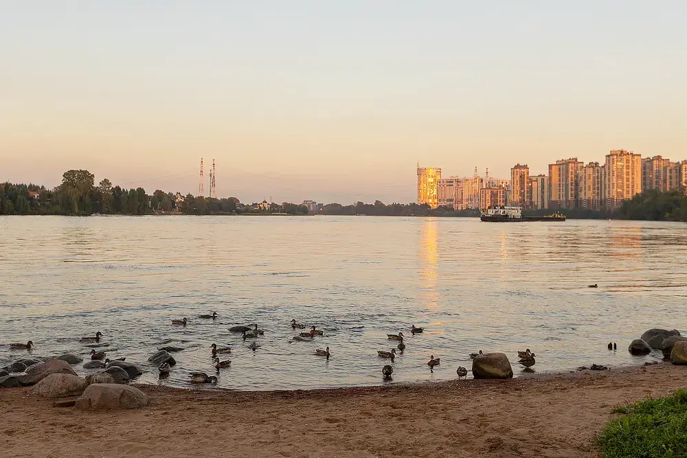 Квартира Классная студия Рыбацкое
