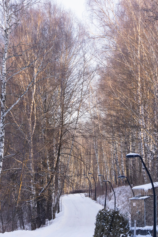 Заповедный Отель JustWOOD