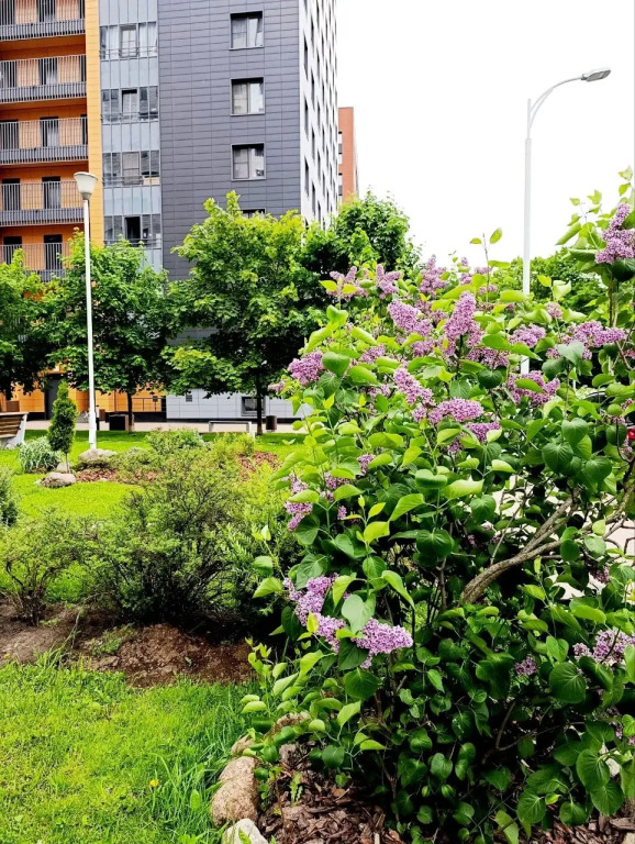 Квартира Лахта Виста Европа Сити