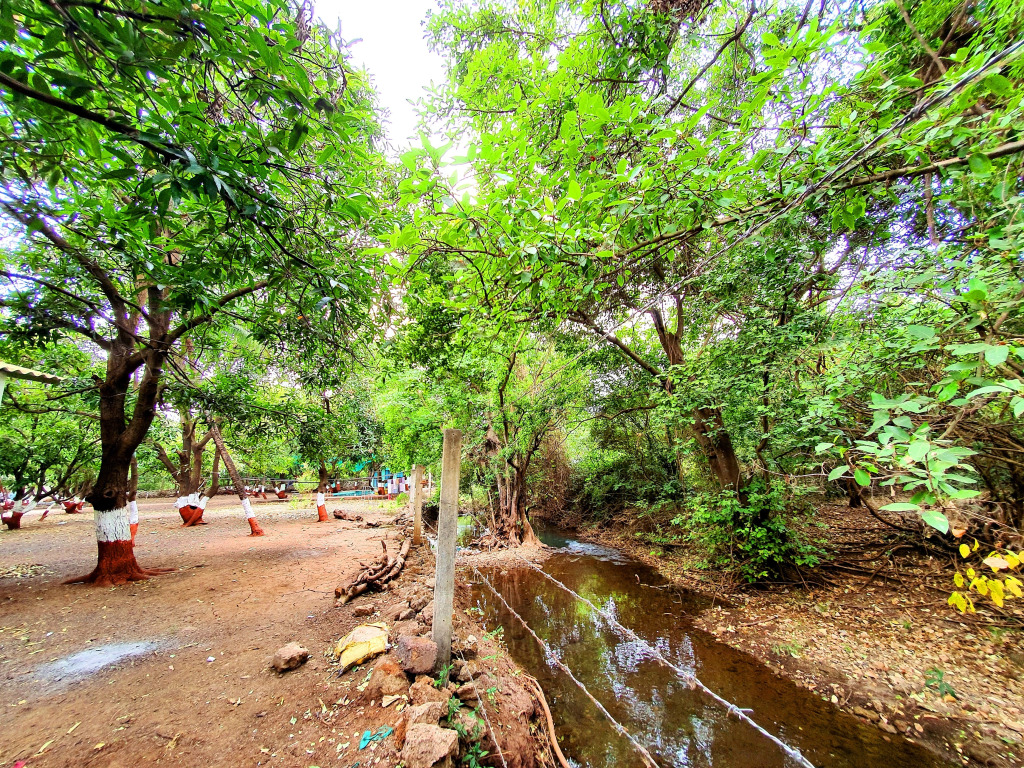 The Wilds Villa Gir - A Riverside Resort Hotel