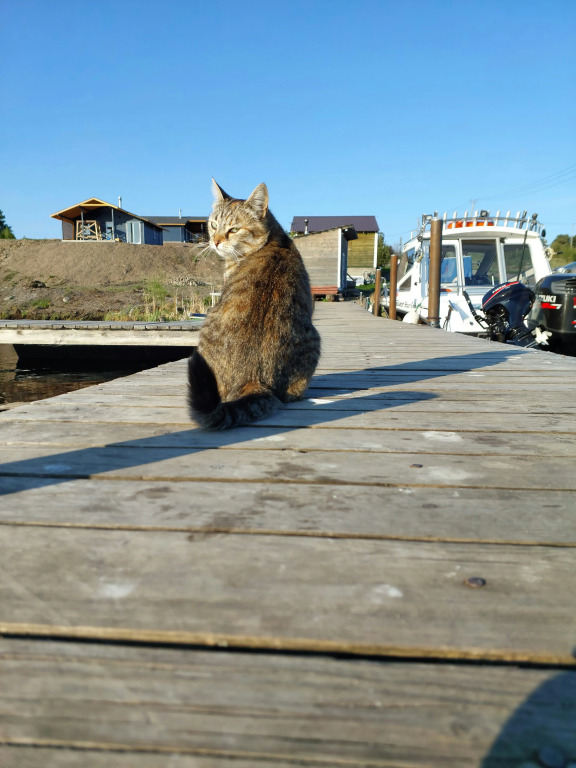 Коттеджный посёлок У Плотника 1