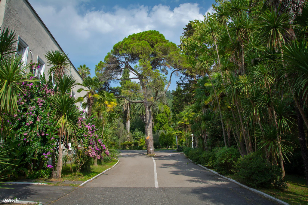 Dendropark Mini-Hotel	