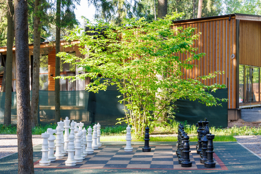 Отель Ruza Forest