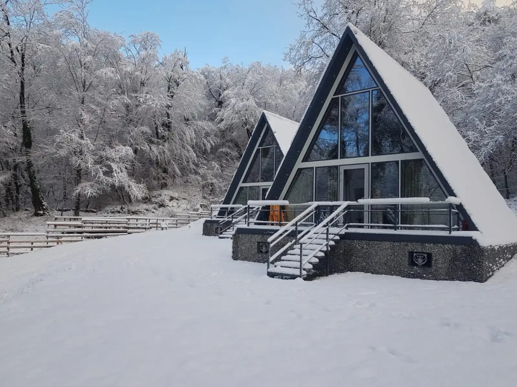 Шале A-Frame Forrest