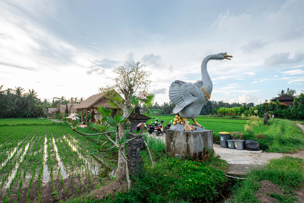 Отель Pondok Mawas
