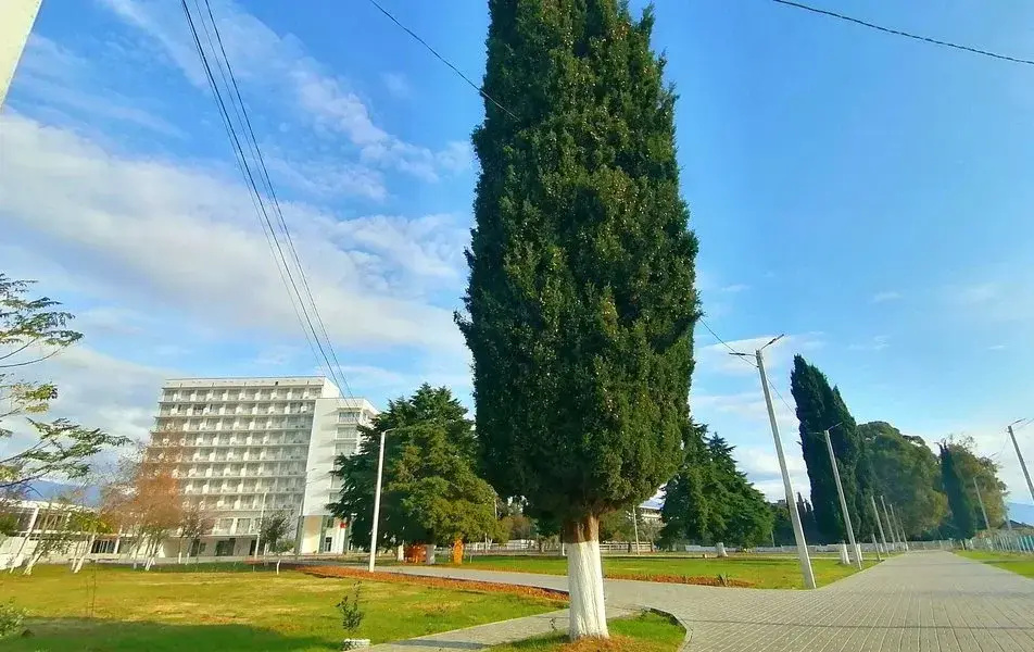 Отель Апсны