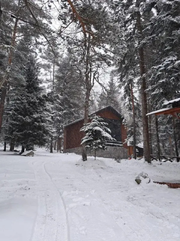 База отдыха Villa Arkhyz Gold