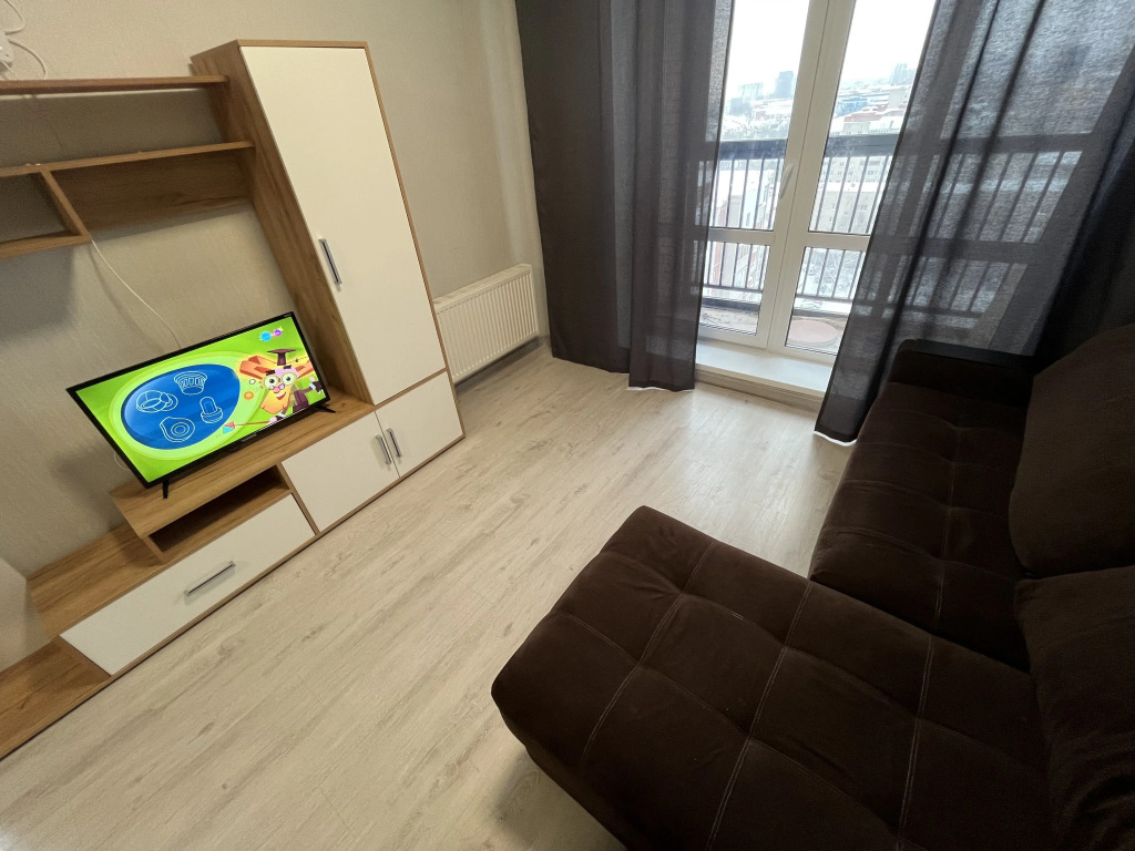 Квартира Толстого 3