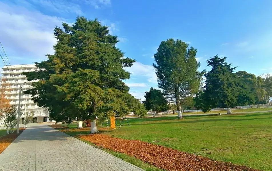 Отель Апсны