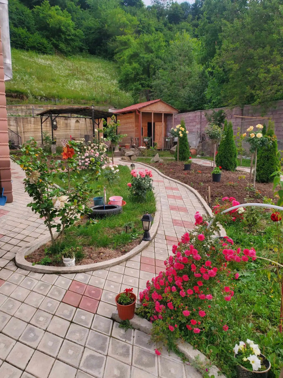 Гостевой дом Dioscuria Borjomi