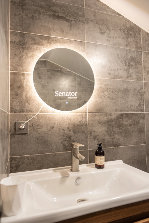 Отель Senator