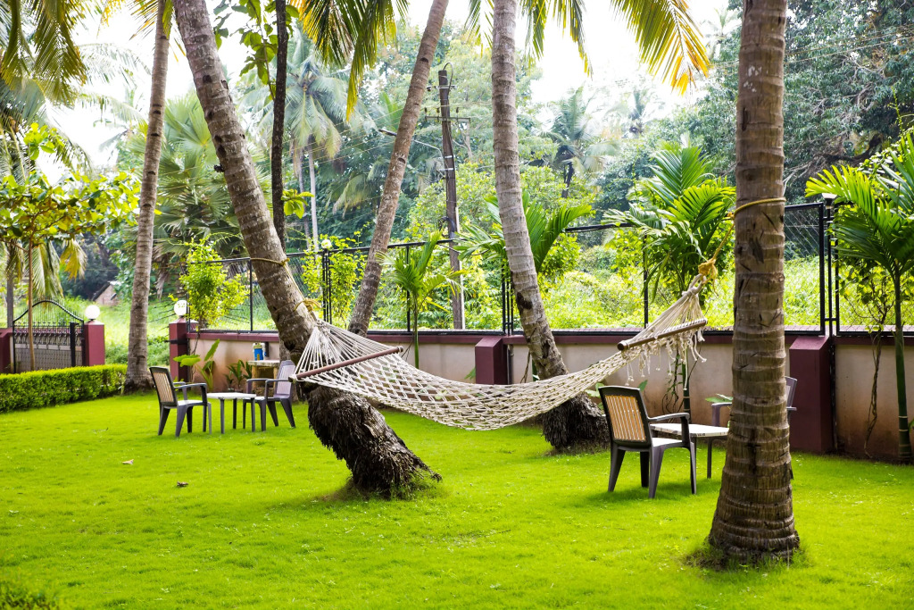 Lazy Frog Guest House