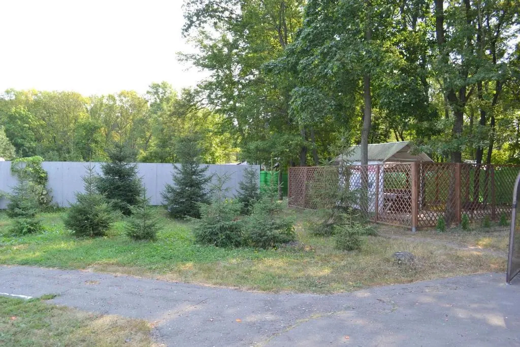 SSK Profsoyuzov Mini-hotel