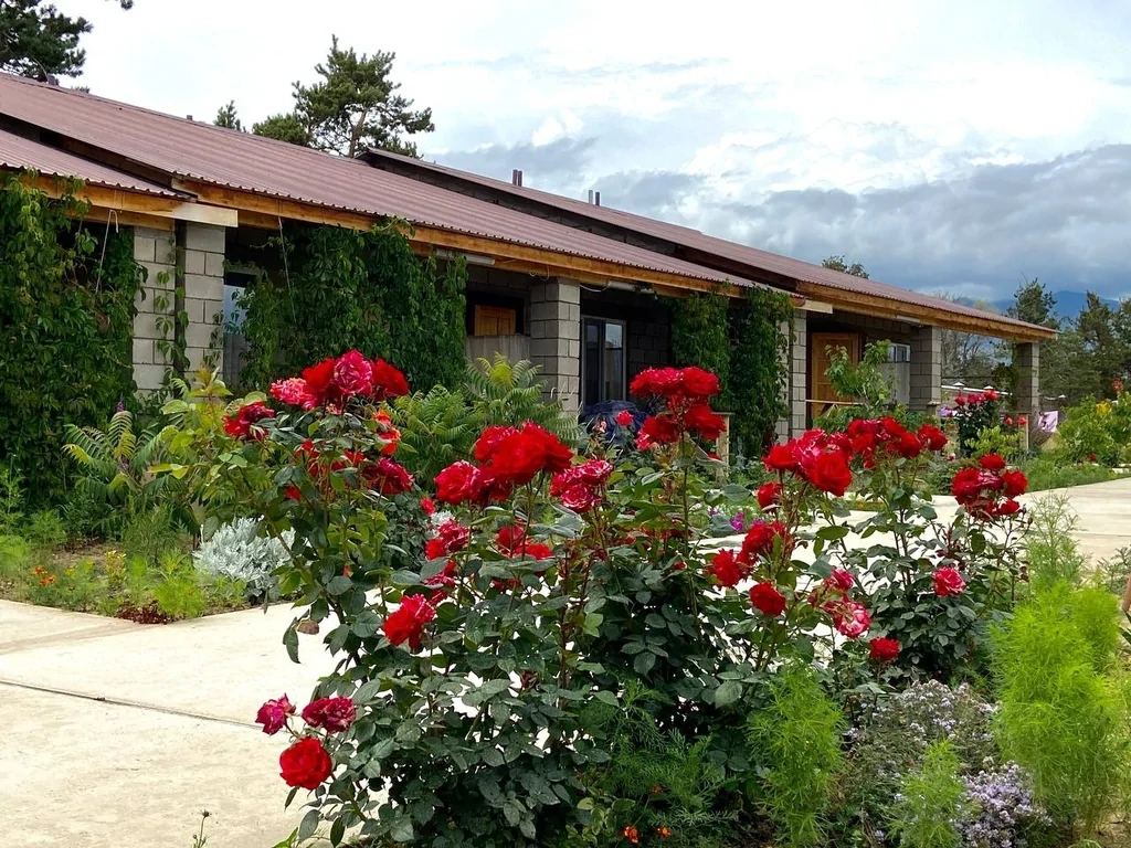 Гостевой дом Abricos guesthouse
