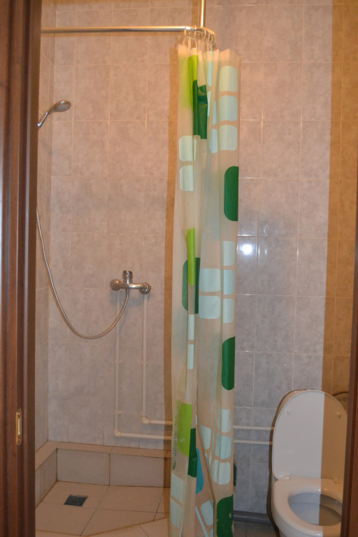 U Petrovicha Mini-Hotel