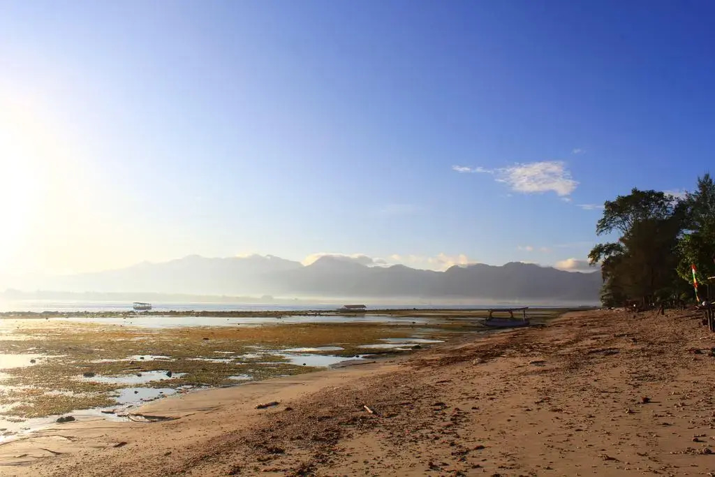 Отель Kaluku Gili Resort