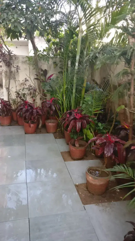 Abode Homestay