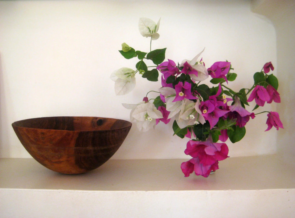Tilily Home And Garden