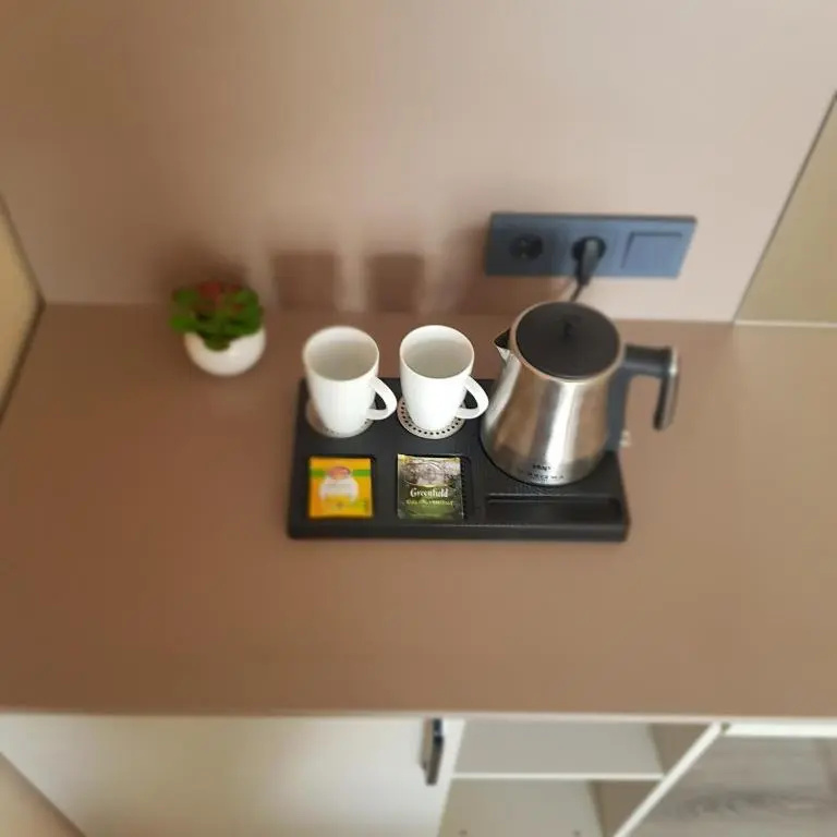 Chernyi Slon Hotel