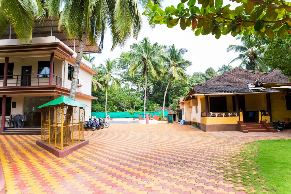 Lazy Frog Guest House