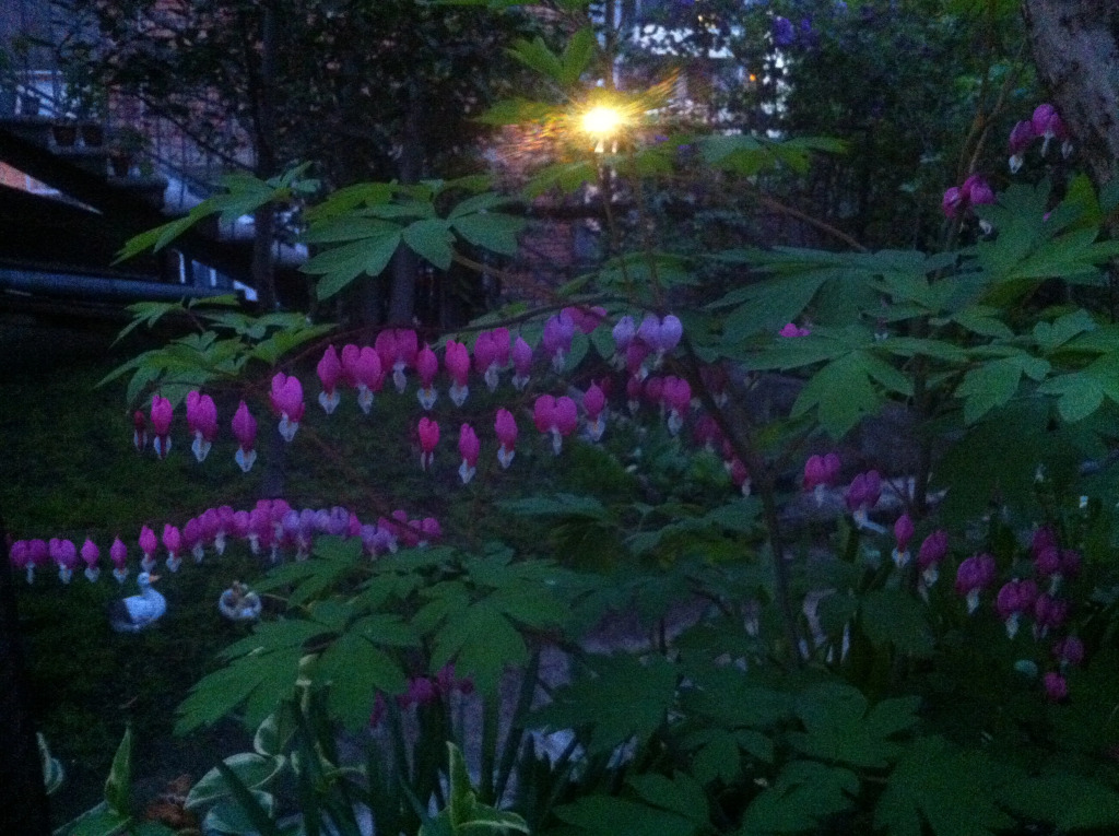 Гостевой дом Granat Garden