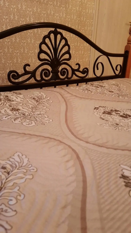 Меблированные комнаты Старый кот