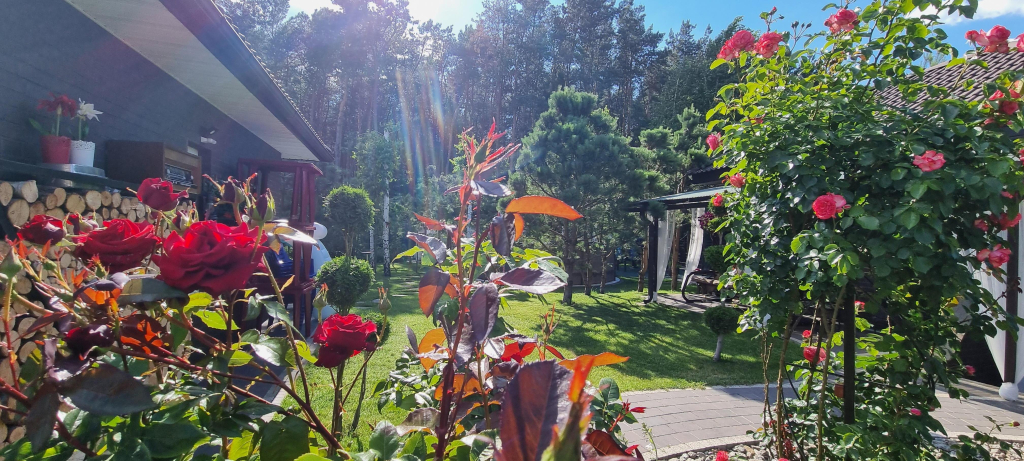 Частный дом Brest Dream Garden