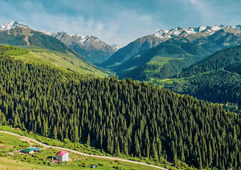 Гостевой дом Лес и Горы