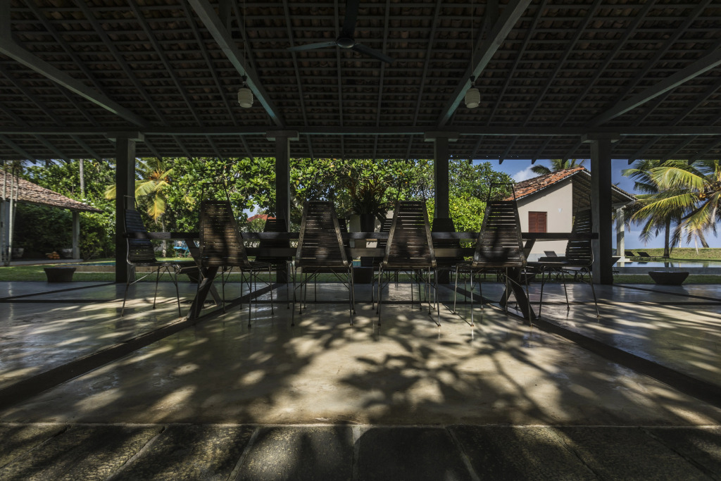 The Frangipani Tree by Edwards Collection - Thalpe