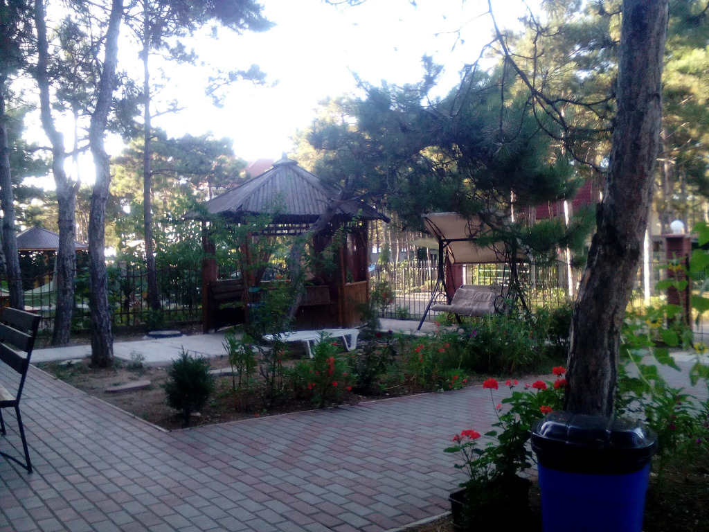 Алексия