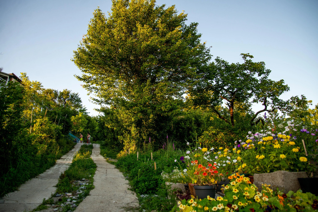 Гостевой дом Shromantic Garden