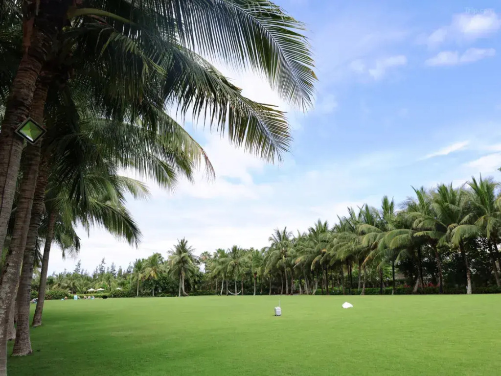 Отель Sofitel Sanya Leeman Resort