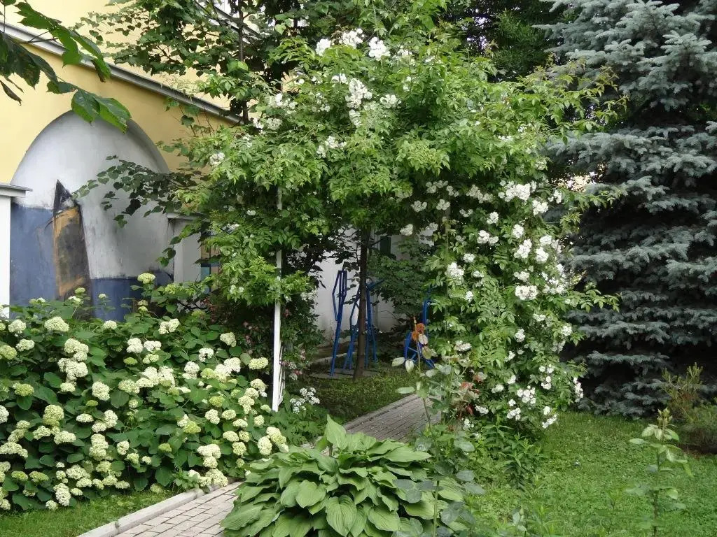 Отель Эрлангенский Дом