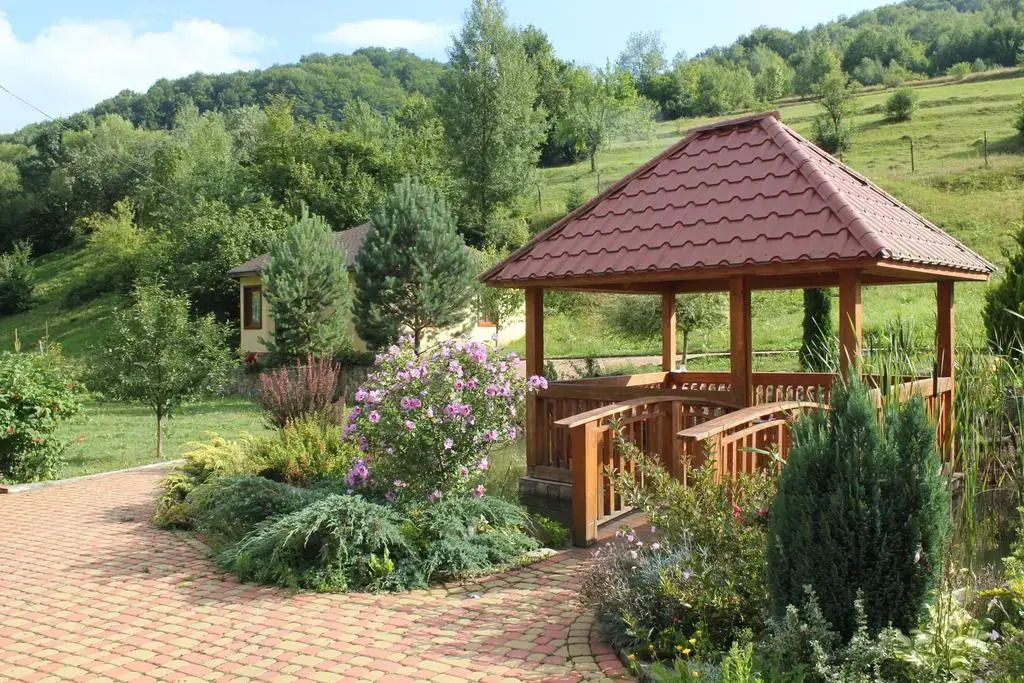 Svit Sontsya