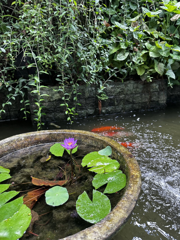 Sattva Garden House