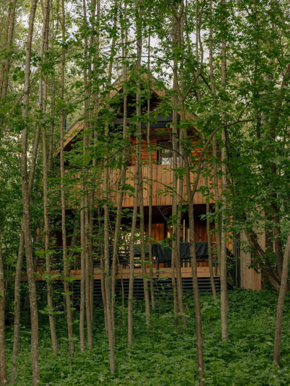 Барнхаус ЗвенДзен Barn Max 3 Безликий
