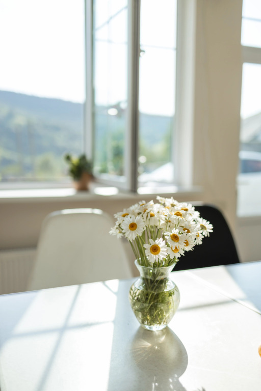 Chamich Guesthouse