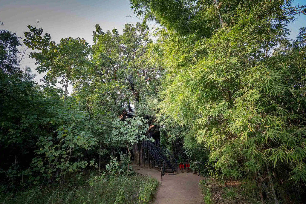 Жилое Помещение Pugdundee Safaris - Tree House Hideway