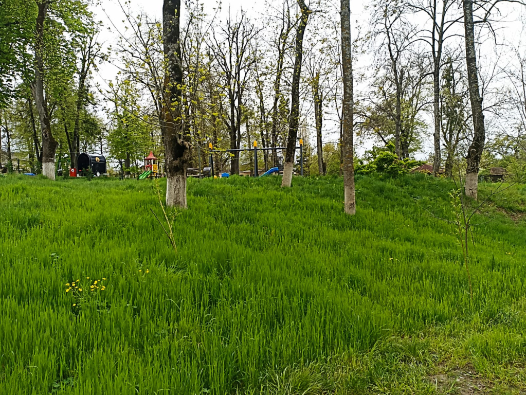 Отель Park