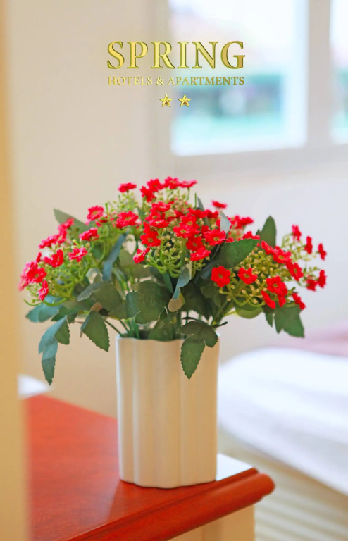 Отель Spring