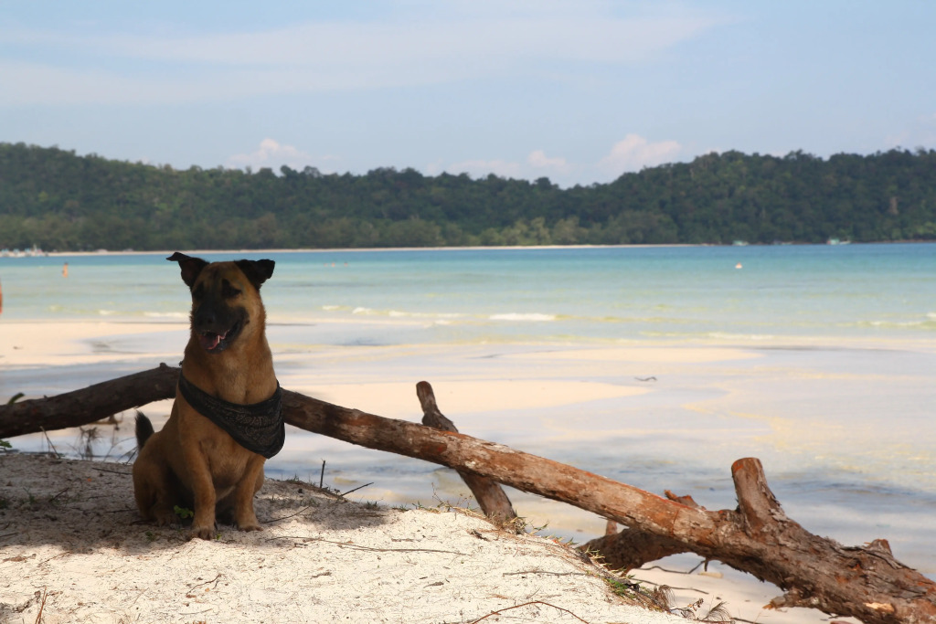 CoCo Boutique Resort