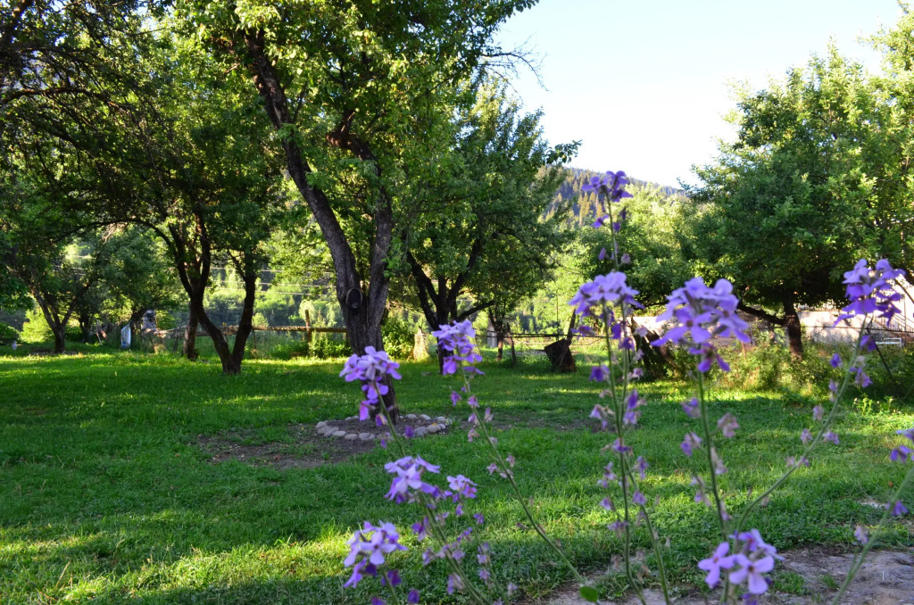 Отель Garden House