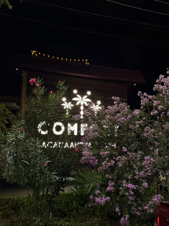 Comfort Hotel