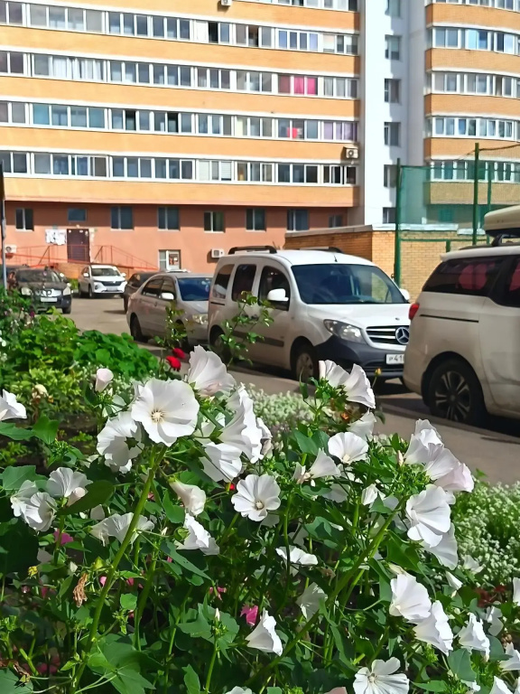 Квартира на Ленской 31