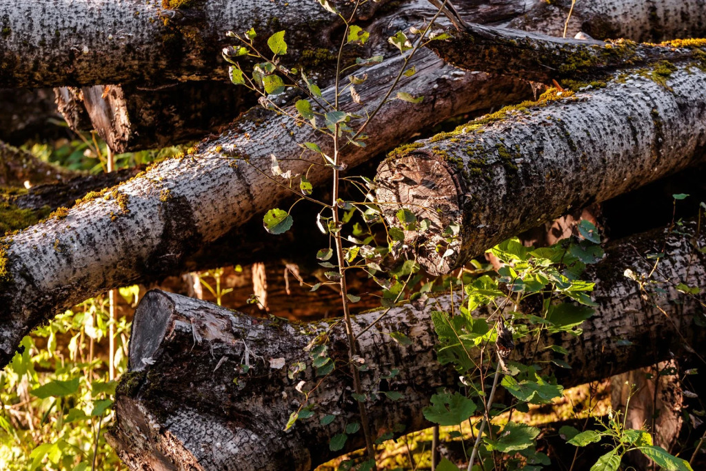 База отдыха Гостевые дома "Усадьба Троицкое"