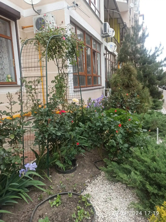 Квартира Черноморочка